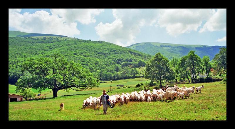 Il Vigneto Villa Norcia Dış mekan fotoğraf